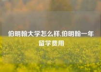 伯明翰大学怎么样,伯明翰一年留学费用