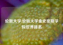 伦敦大学,伦敦大学金史密斯学院世界排名