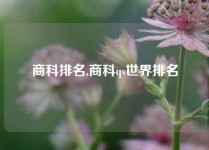 商科排名,商科qs世界排名