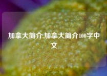 加拿大简介,加拿大简介100字中文