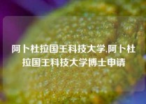 阿卜杜拉国王科技大学,阿卜杜拉国王科技大学博士申请