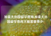 加拿大出国留学费用,加拿大出国留学费用大概需要多少?