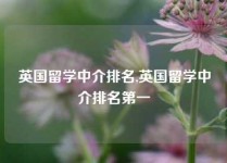 英国留学中介排名,英国留学中介排名第一