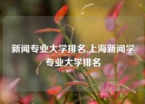 新闻专业大学排名,上海新闻学专业大学排名