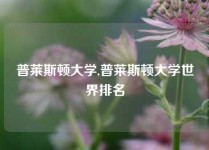 普莱斯顿大学,普莱斯顿大学世界排名