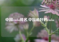 中国emba排名,中国最好的emba