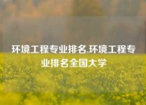 环境工程专业排名,环境工程专业排名全国大学