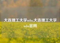 大连理工大学mba,大连理工大学mba官网