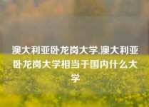 澳大利亚卧龙岗大学,澳大利亚卧龙岗大学相当于国内什么大学