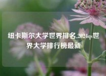 纽卡斯尔大学世界排名,2024qs世界大学排行榜最新