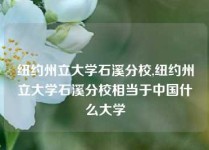 纽约州立大学石溪分校,纽约州立大学石溪分校相当于中国什么大学