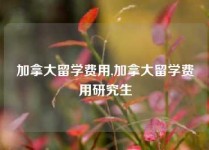 加拿大留学费用,加拿大留学费用研究生