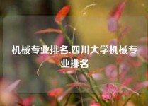 机械专业排名,四川大学机械专业排名