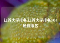 江苏大学排名,江苏大学排名2024最新排名