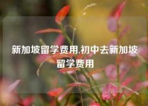 新加坡留学费用,初中去新加坡留学费用