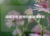 动漫学校,杭州玛雅动漫学校