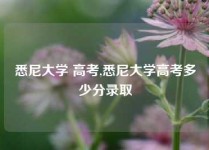 悉尼大学 高考,悉尼大学高考多少分录取