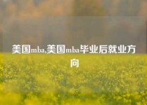 美国mba,美国mba毕业后就业方向