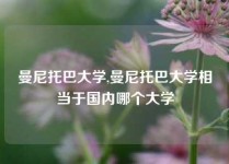 曼尼托巴大学,曼尼托巴大学相当于国内哪个大学