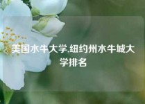 美国水牛大学,纽约州水牛城大学排名