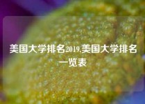 美国大学排名2019,美国大学排名一览表