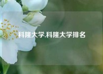 科隆大学,科隆大学排名