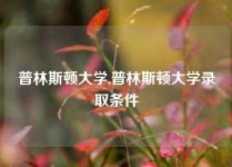 普林斯顿大学,普林斯顿大学录取条件