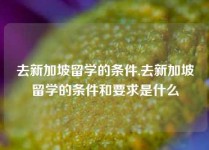 去新加坡留学的条件,去新加坡留学的条件和要求是什么