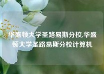 华盛顿大学圣路易斯分校,华盛顿大学圣路易斯分校计算机