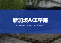 ace学校,美国ace学校