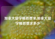 加拿大留学雅思要求,加拿大留学雅思要求多少