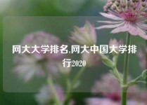 网大大学排名,网大中国大学排行2020