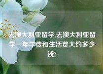 去澳大利亚留学,去澳大利亚留学一年学费和生活费大约多少钱?