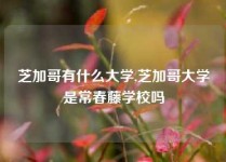 芝加哥有什么大学,芝加哥大学是常春藤学校吗