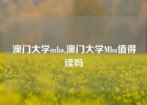 澳门大学mba,澳门大学Mba值得读吗