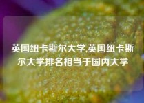 英国纽卡斯尔大学,英国纽卡斯尔大学排名相当于国内大学