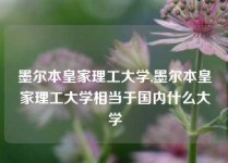 墨尔本皇家理工大学,墨尔本皇家理工大学相当于国内什么大学