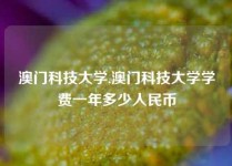 澳门科技大学,澳门科技大学学费一年多少人民币