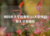 预科班大学有哪些,211大学预科班大学有哪些