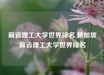 麻省理工大学世界排名,新加坡麻省理工大学世界排名