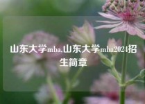 山东大学mba,山东大学mba2024招生简章