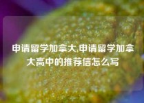 申请留学加拿大,申请留学加拿大高中的推荐信怎么写