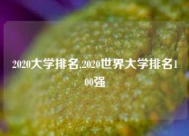 2020大学排名,2020世界大学排名100强