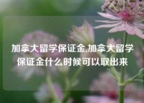 加拿大留学保证金,加拿大留学保证金什么时候可以取出来