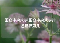 国立中央大学,国立中央大学排名世界第几