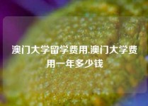 澳门大学留学费用,澳门大学费用一年多少钱