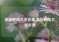 美国野鸡大学名单,美国野鸡大学文凭