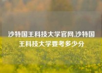 沙特国王科技大学官网,沙特国王科技大学要考多少分