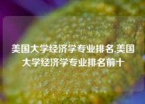 美国大学经济学专业排名,美国大学经济学专业排名前十