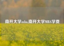 南开大学mba,南开大学MBA学费